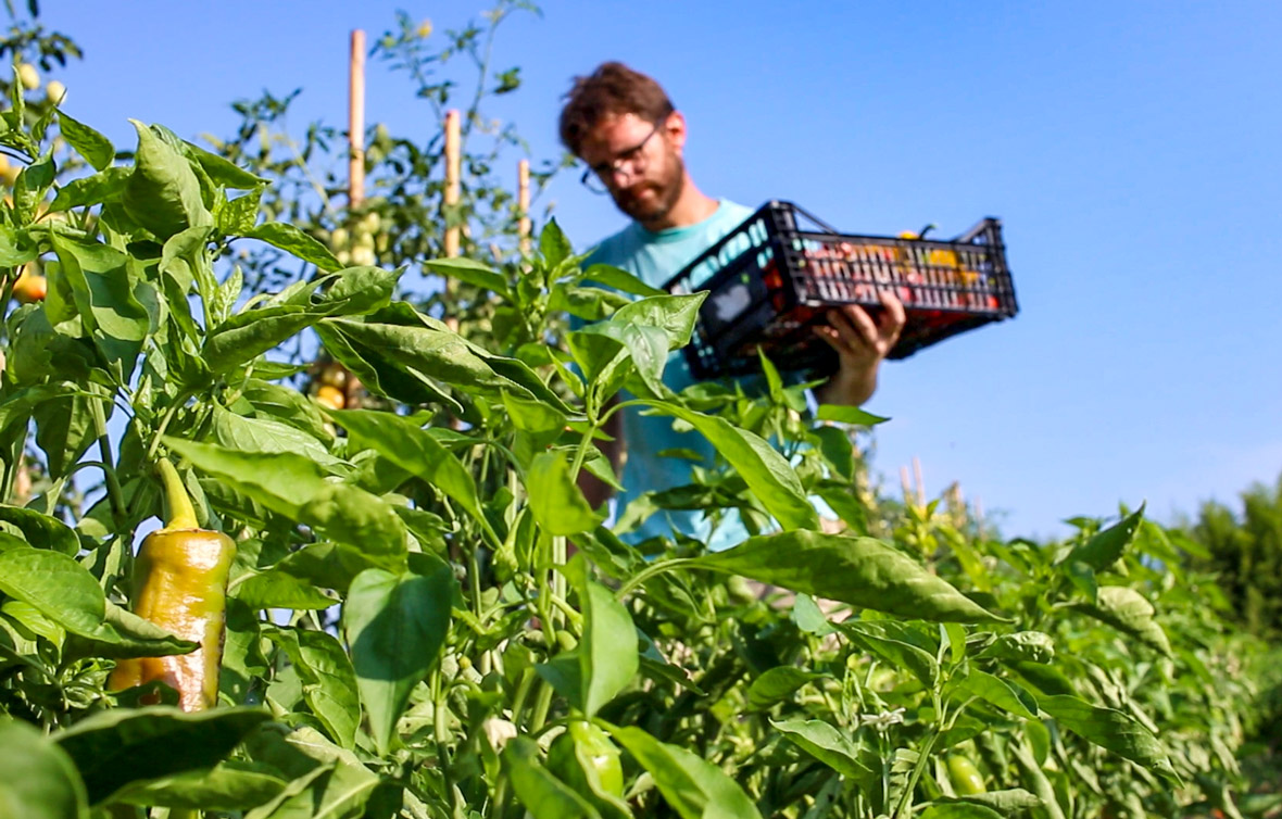 Sede - Terra Fertile Cooperativa Sociale — foto 3